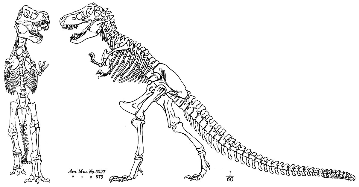 dinosaurs tô màu vẽ khủng log bao chua 0019