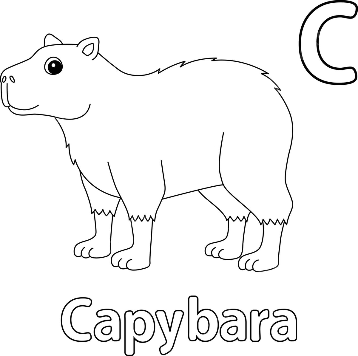 tô màu capybara cute 0026