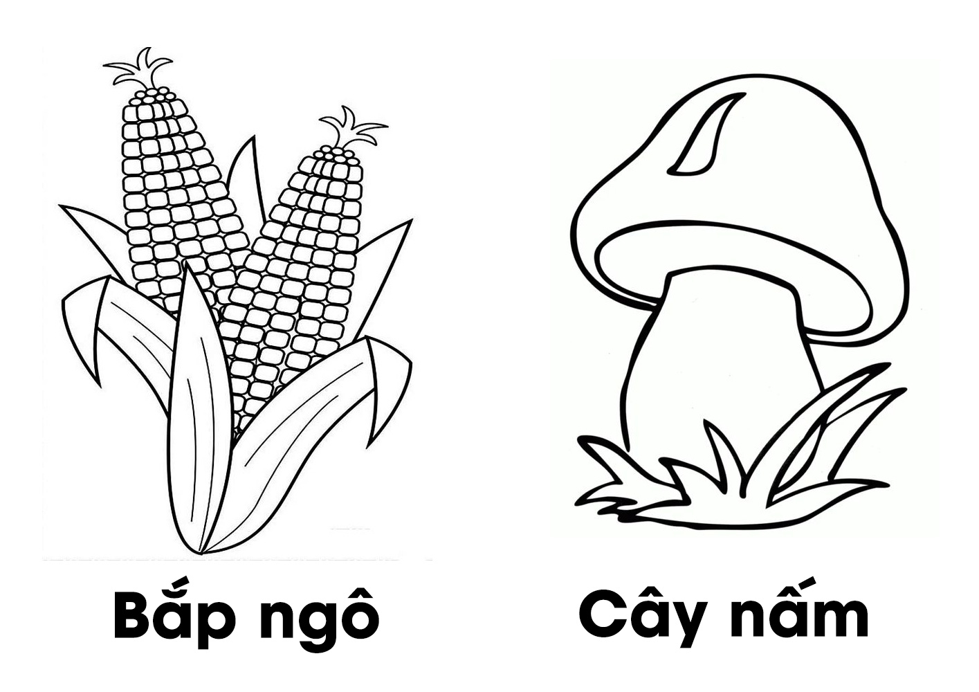 tô màu cây nấm 0016