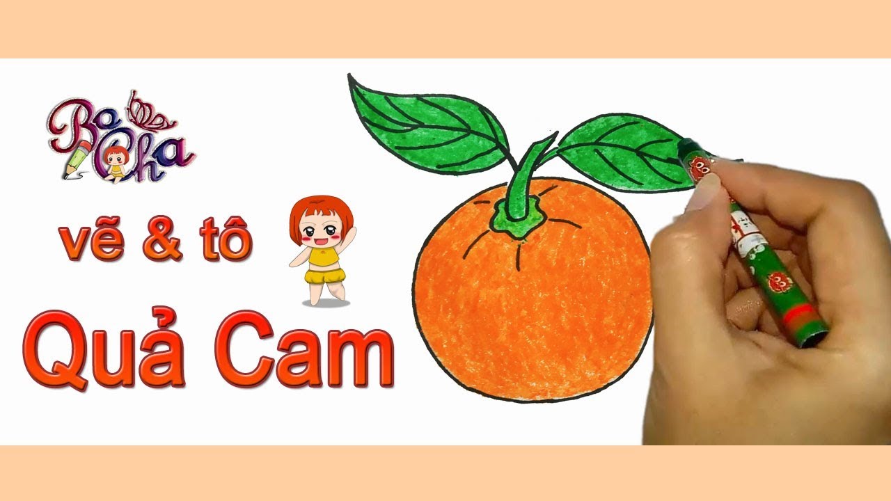 tô màu quả cam 0028